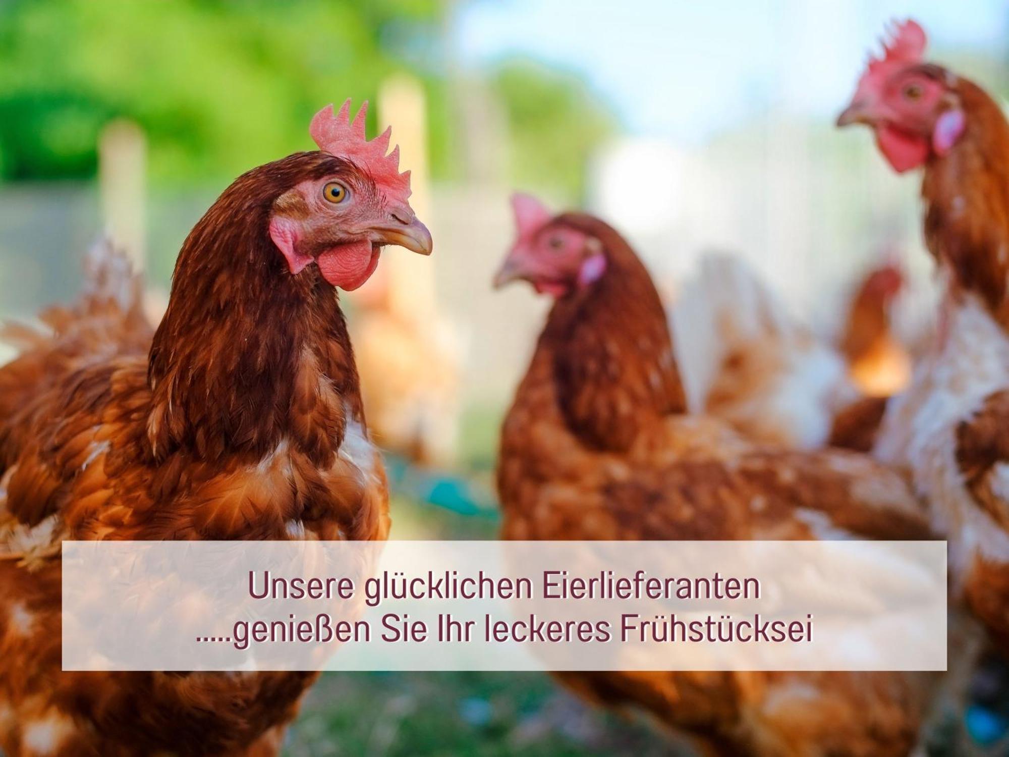 Designerwohnungen "Beim Schmied" In Chiemseenaehe Traunreut Exteriér fotografie