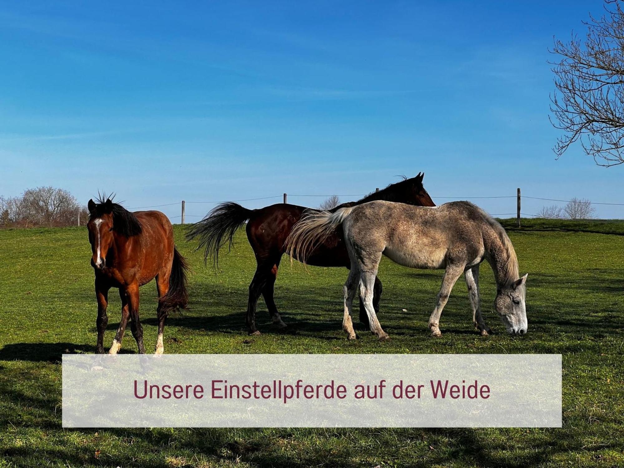 Designerwohnungen "Beim Schmied" In Chiemseenaehe Traunreut Exteriér fotografie
