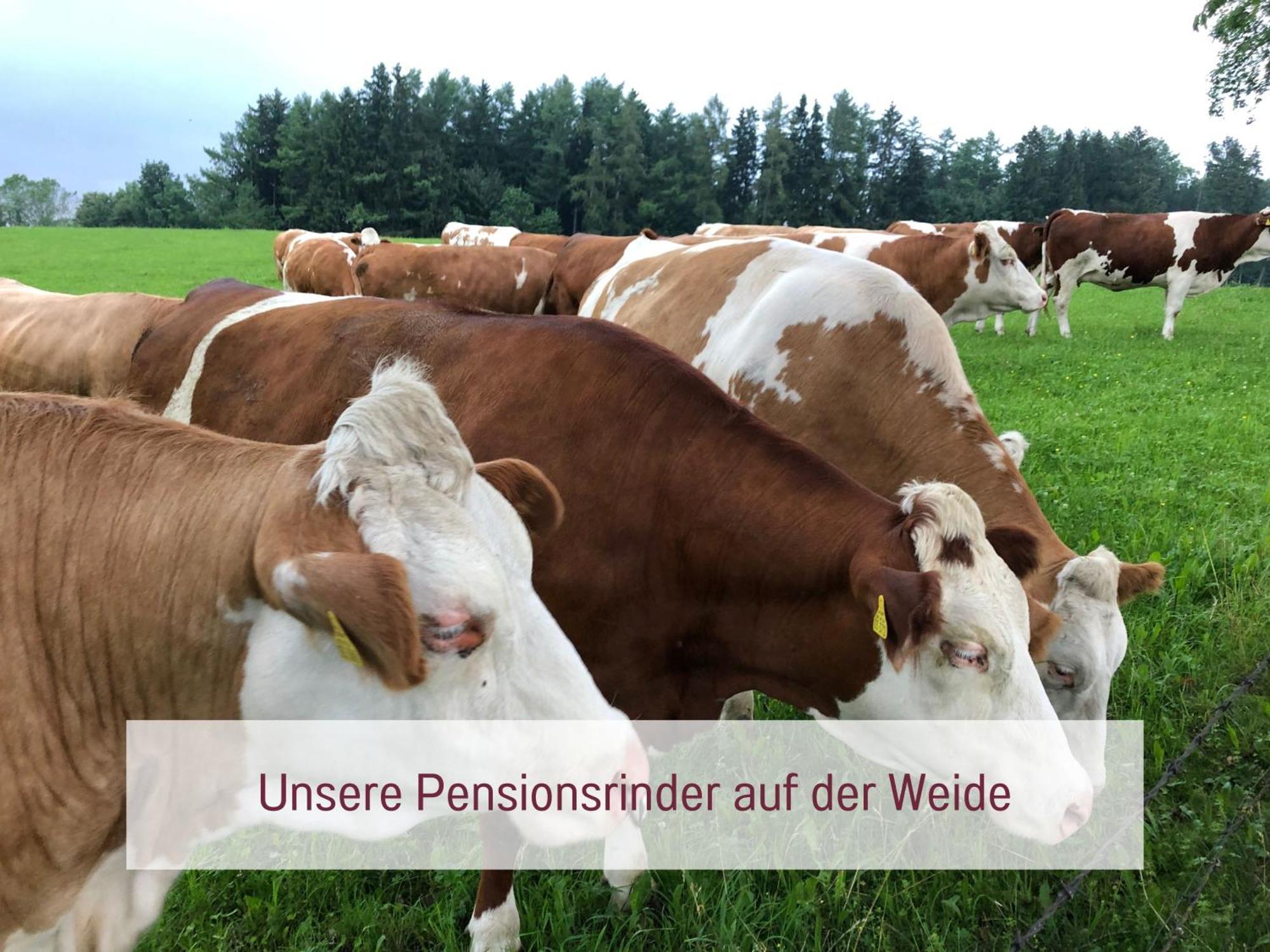 Designerwohnungen "Beim Schmied" In Chiemseenaehe Traunreut Exteriér fotografie